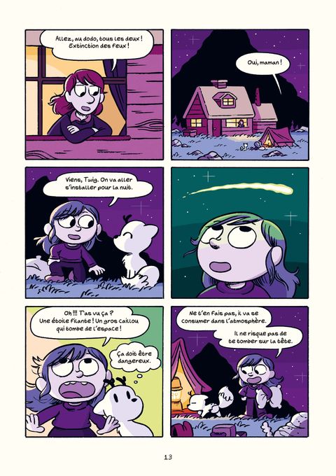 Aperçu de l'album Hilda & Twig - Hilda et Twig trouvent une météorite