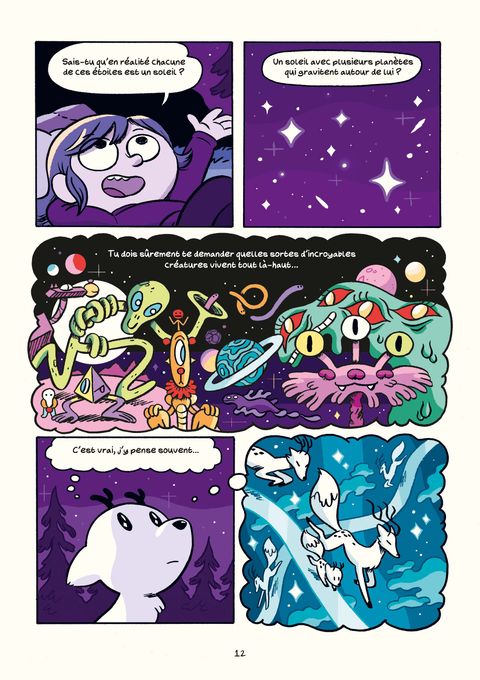 Aperçu de l'album Hilda & Twig - Hilda et Twig trouvent une météorite