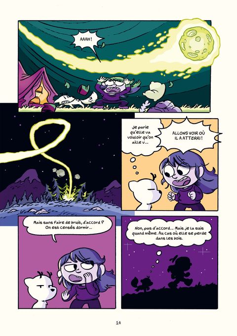 Aperçu de l'album Hilda & Twig - Hilda et Twig trouvent une météorite