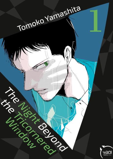 Couverture de l'album The Night Beyond The Tricornered Window 