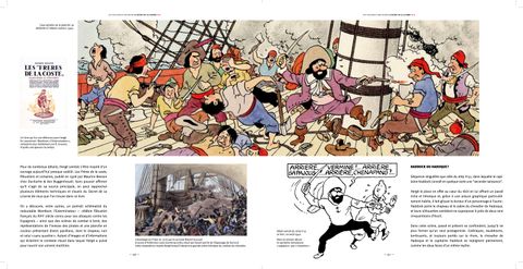 Aperçu de l'album Les coulisses d'une œuvre tome 11 - Le Secret de la Licorne
