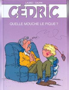 Couverture de l'album Quelle mouche le pique ?