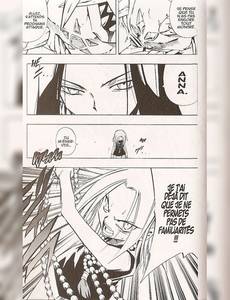 Aperçu 3 de l'album Shaman King tome 28