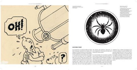 Aperçu de l'album Les coulisses d'une œuvre tome 10 - L'Étoile mystérieuse
