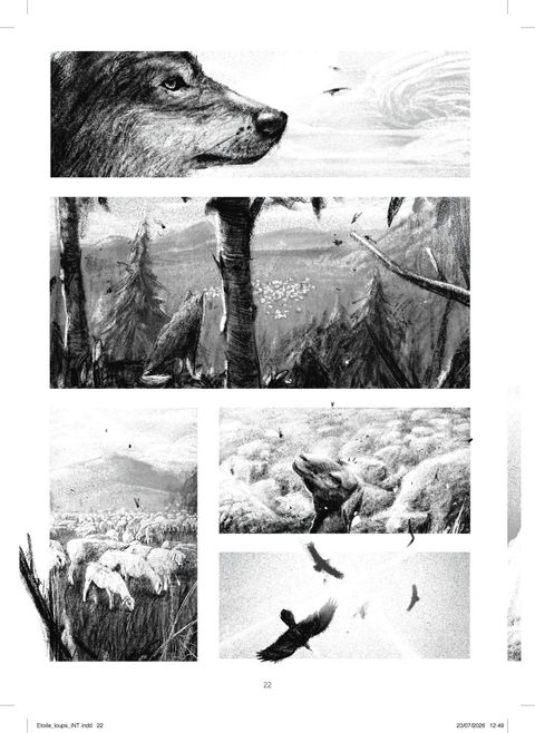 Aperçu de l'album L'Etoile des loups