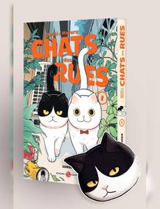 Couverture de l'album Chats des rues