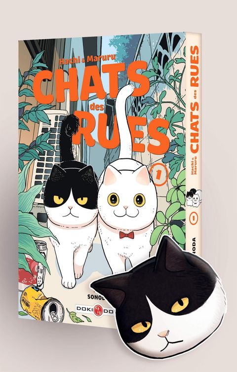Couverture de l'album Chats des rues