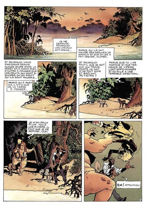Aperçu de l'album Fulù tome 3 - Dans l'Ombre du Desir