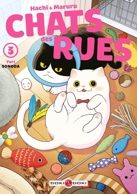 Couverture de l'album Hachi & Maruru - Chats des rues