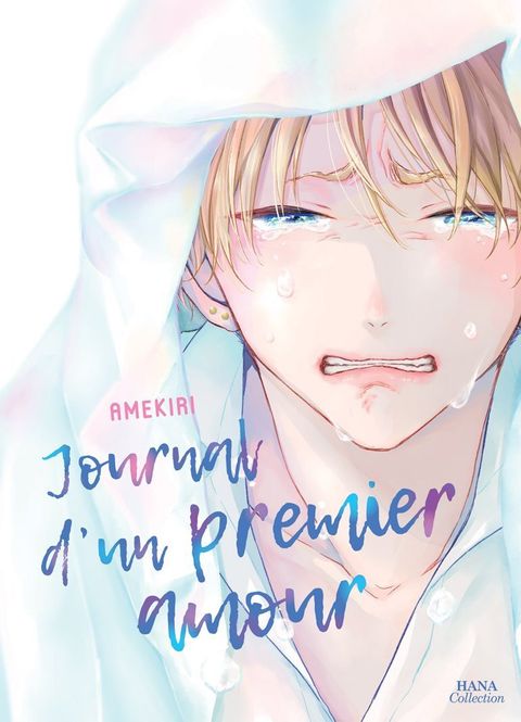 Couverture de la série Journal d'un premier amour