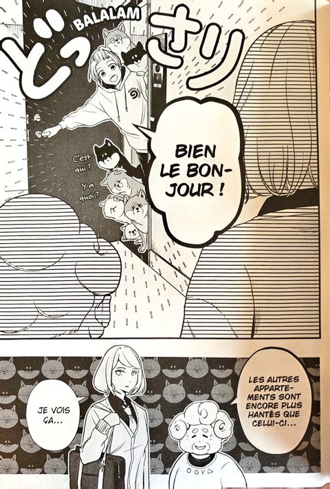 Aperçu de l'album Shiba Inu Rooms tome 1