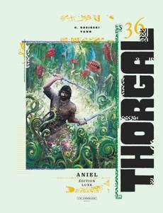 Couverture de l'album Aniel