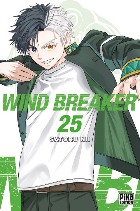 Couverture de l'album Wind Breaker