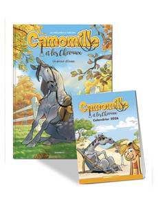 Couverture de l'album Un amour d'Océan