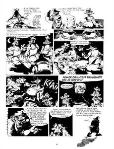 Aperçu 3 de l'album Canardo tome 1
