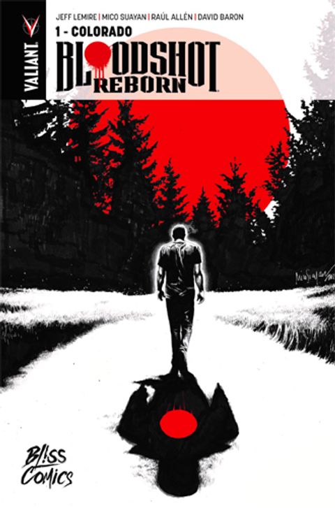 Couverture de la série Bloodshot Reborn