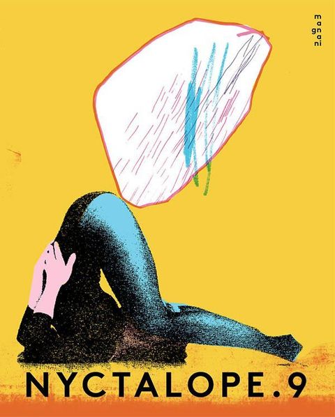 Couverture de l'album Revue Nyctalope