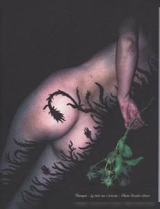 Couverture de la série La Chair Nue s'articule