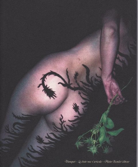 Couverture de l'album La Chair Nue s'articule