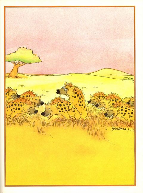 Aperçu de l'album Bridenne tome 1 - Fievre de Printemps