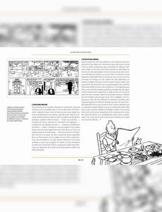 Aperçu 4 de l'album Tintin (Monographie par album) tome 14.2014 - Le Temple du Soleil (La malédiction de Rascar Capac 2)