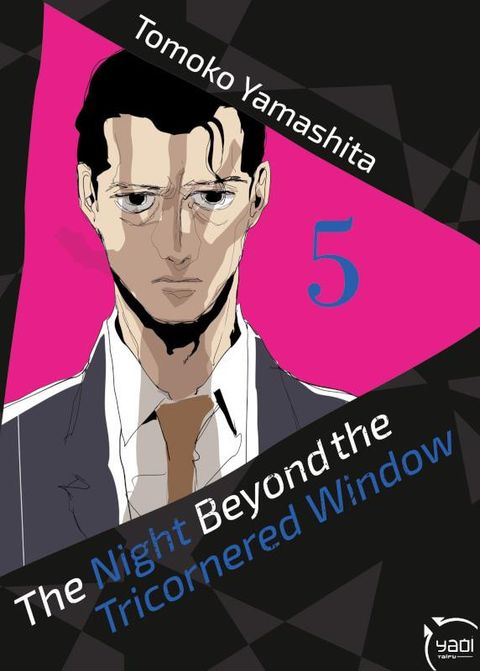 Couverture de l'album The Night Beyond The Tricornered Window 