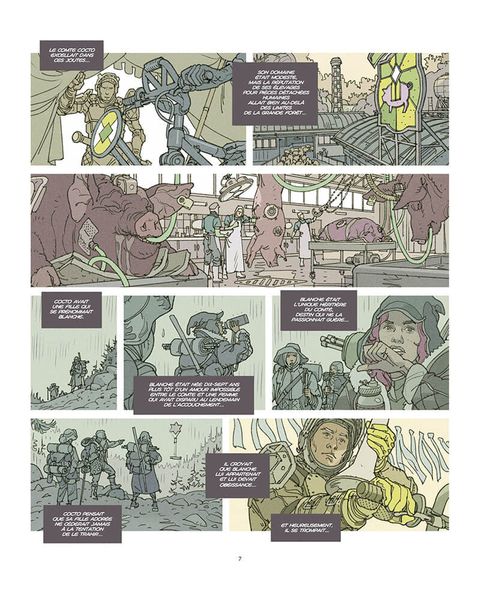 Aperçu de l'album NeoForest tome 1 - Cocto Citadelle
