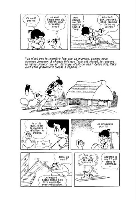 Aperçu de l'album Hato, Toujours Plus Haut ! tome 1