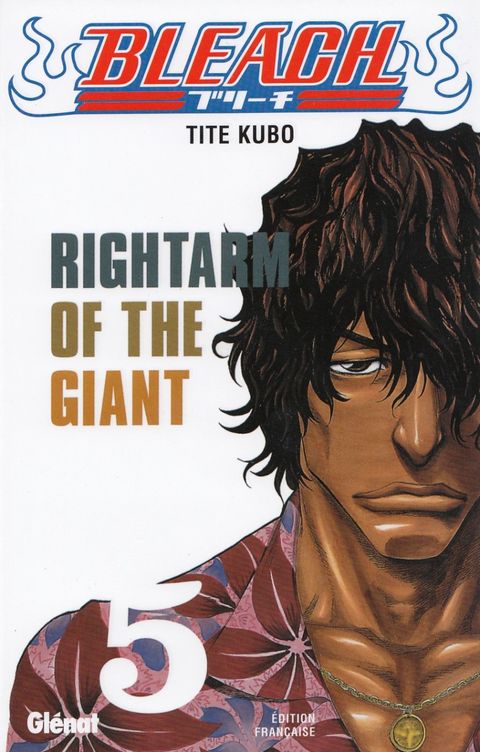 Couverture de l'album Rightarm Of The Giant