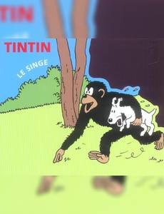 Couverture de l'album Tintin - Le Singe