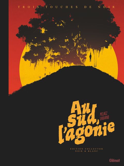 Couverture de l'album Au Sud, l'Agonie