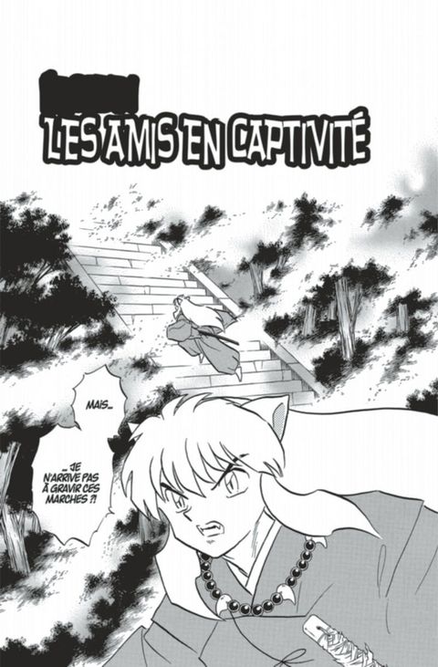 Aperçu de l'album Inu-Yasha tome 47
