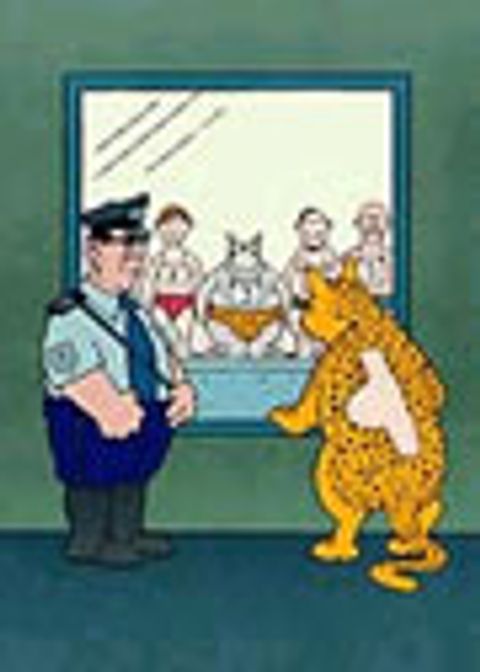 Couverture de l'album Le Chat (Lithographie)