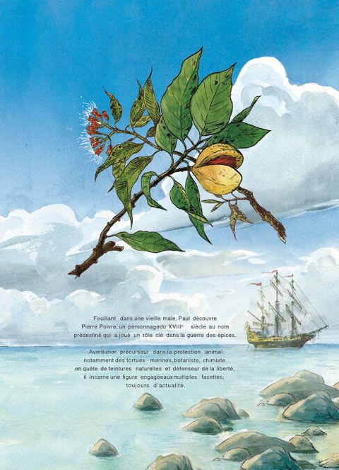 Aperçu de l'album Pierre Poivre