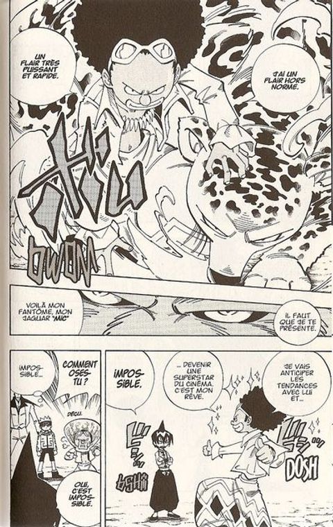 Aperçu de l'album Shaman King tome 13