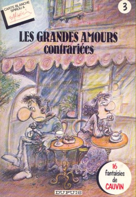 Couverture de l'album Les grandes amours contrariées