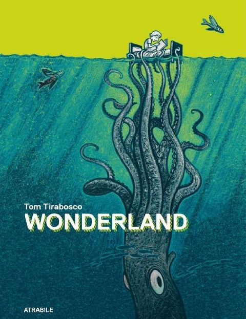 Couverture de l'album Wonderland