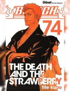 Couverture du premier album de la série Bleach