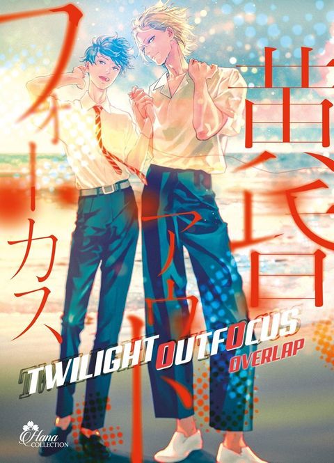 Couverture de l'album Twilight Outfocus Overlap