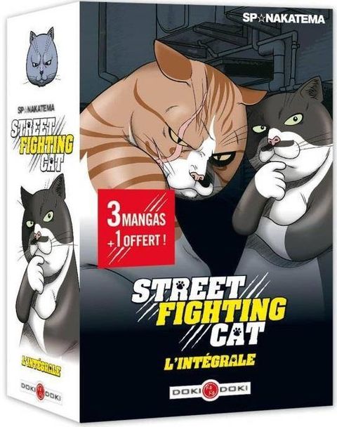 Couverture de l'album Street Fighting Cat