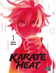 Aperçu 1 de l'album Karate heat tome 1