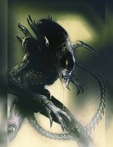 Couverture de l'album Les liens du sang