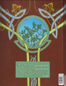 Aperçu 2 de l'album Arthur, Une Epopée Celtique tome 1 - Myrddin le Fou