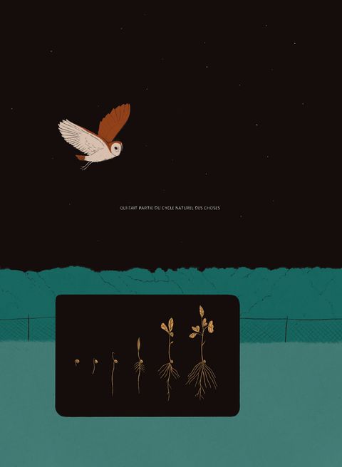Aperçu de l'album Nocturnos
