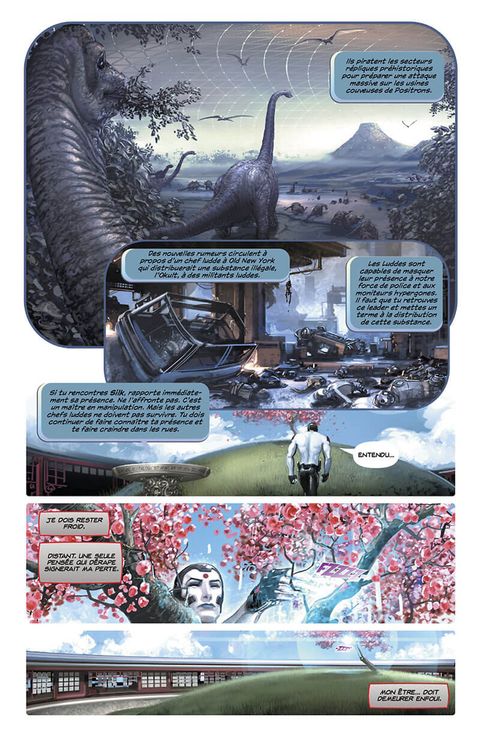 Aperçu de l'album Rai tome 2