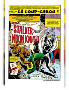 Aperçu 7 de l'album Marvel-verse - Moon Knight