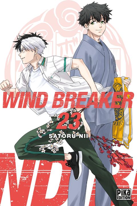 Couverture de l'album Wind Breaker