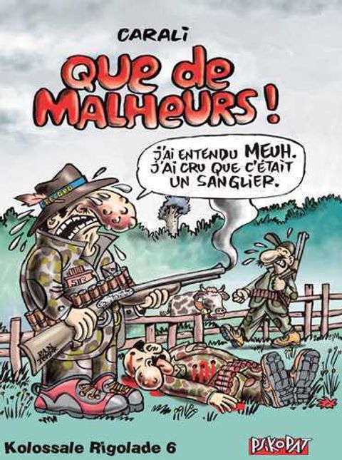 Couverture de l'album Que de Malheurs !