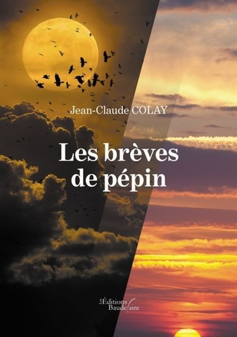 Couverture de l'album Les brèves de pépin