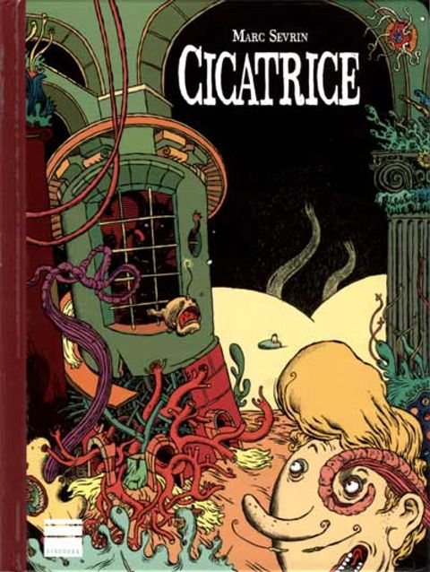 Couverture de l'album Cicatrice